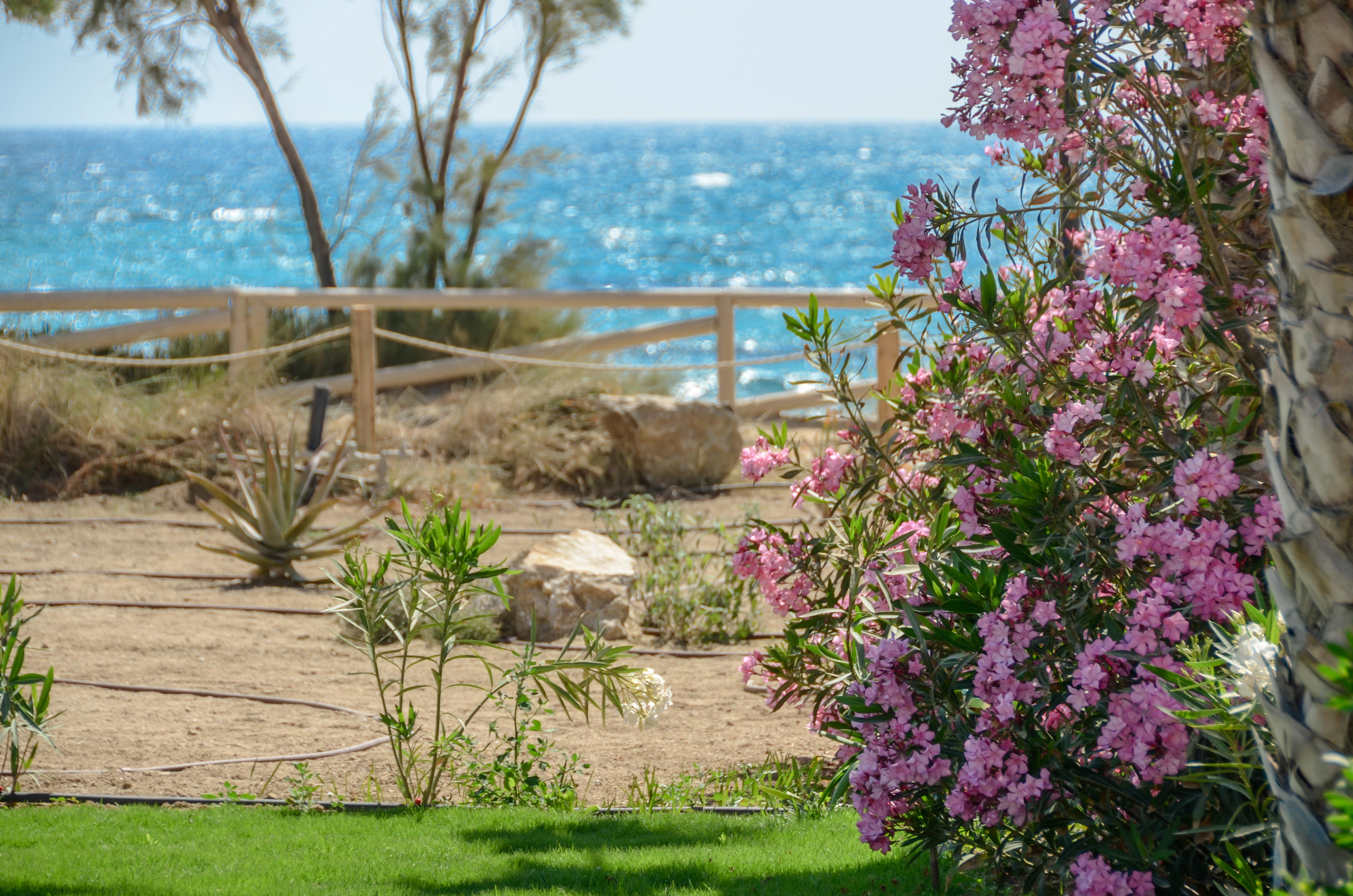 Glaronissi Beach Otel Maragkas Dış mekan fotoğraf