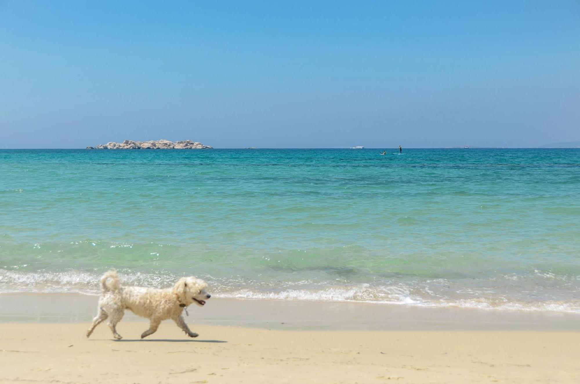 Glaronissi Beach Otel Maragkas Dış mekan fotoğraf